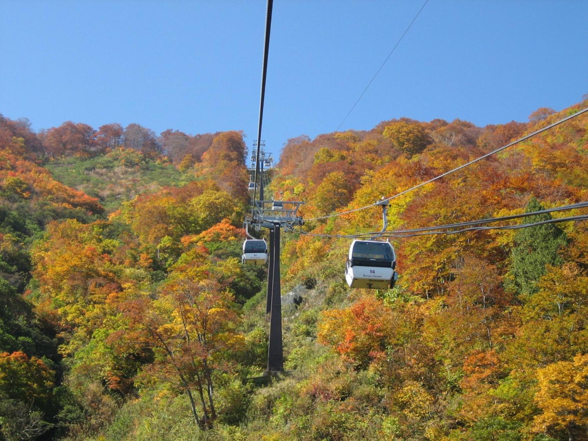 Kudo'S Lodge 하쿠바 외부 사진